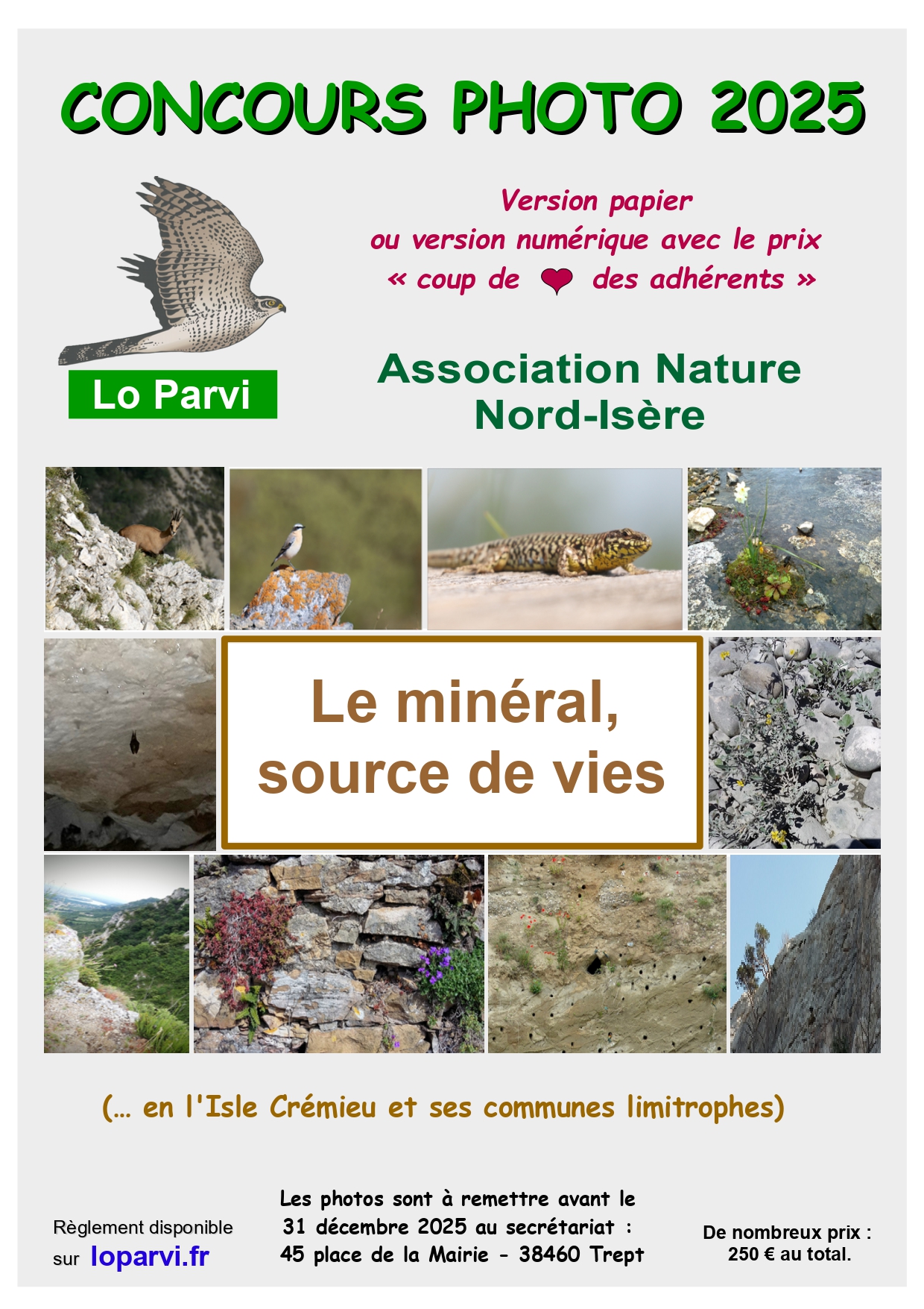 affiche-le-minéral_Concours-photos-2025-Lo Parvi.jpg