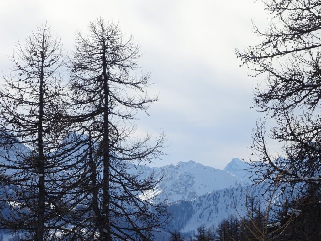 02-02_classe_de_neige_2025©E-Benabent _1_.jpg