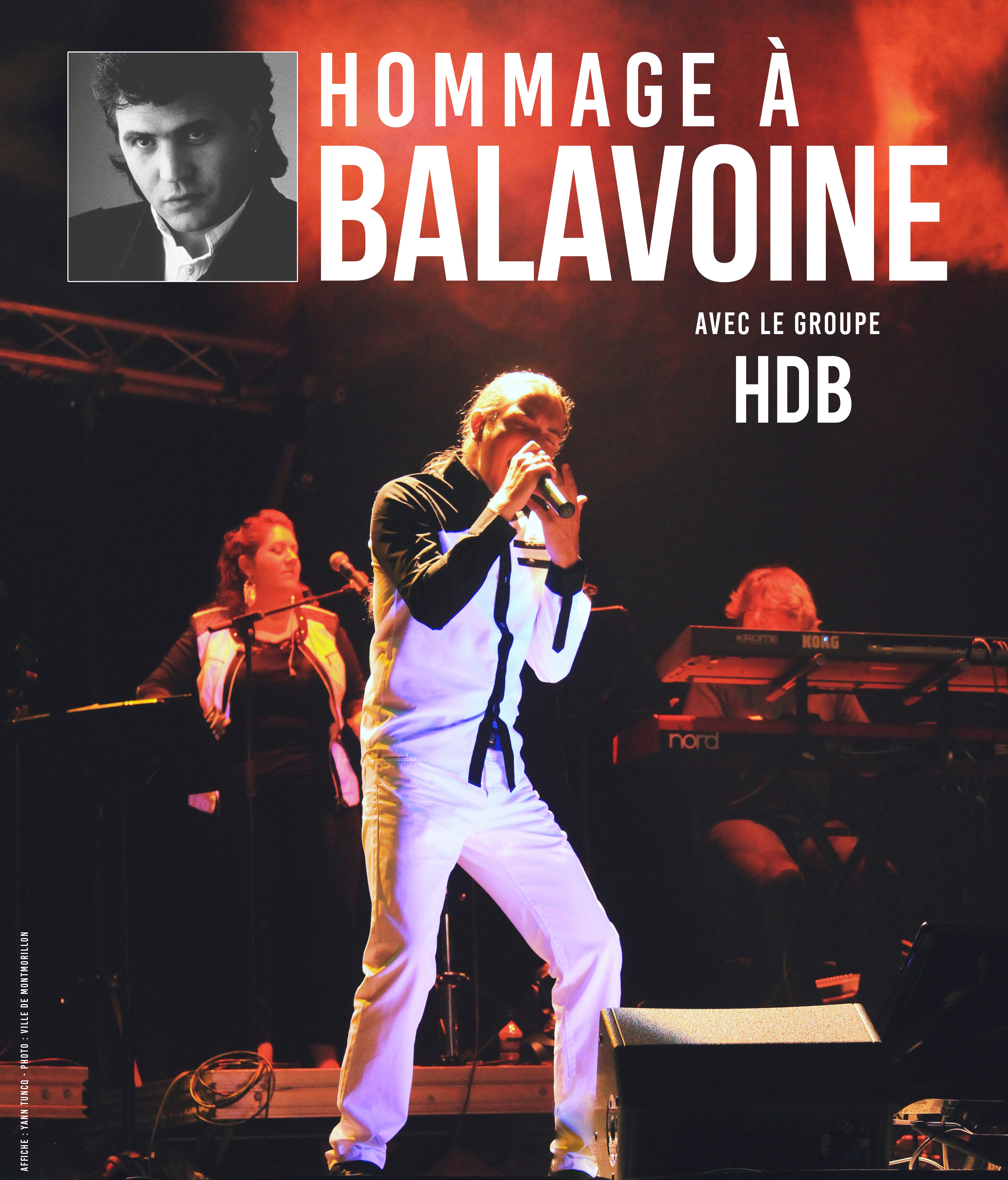 AFFICHE BALAVOINE - Copie.jpg