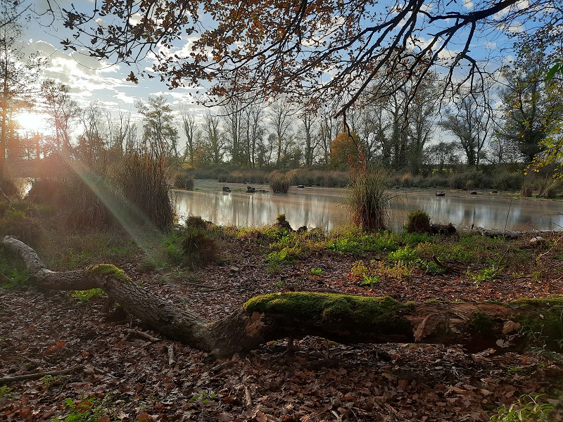 Sormier_nov-2022 _3_.jpg