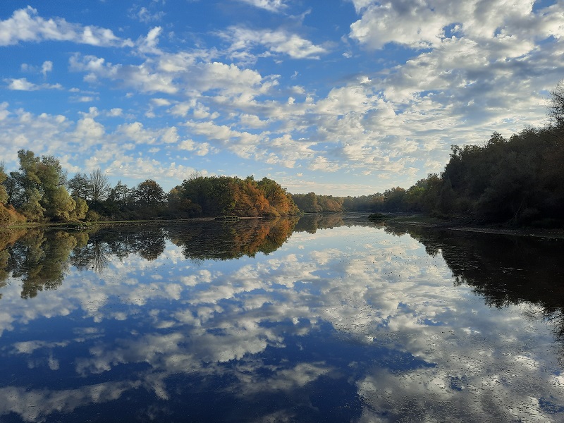 etang_barral-nov-2022©SP _3_.jpg