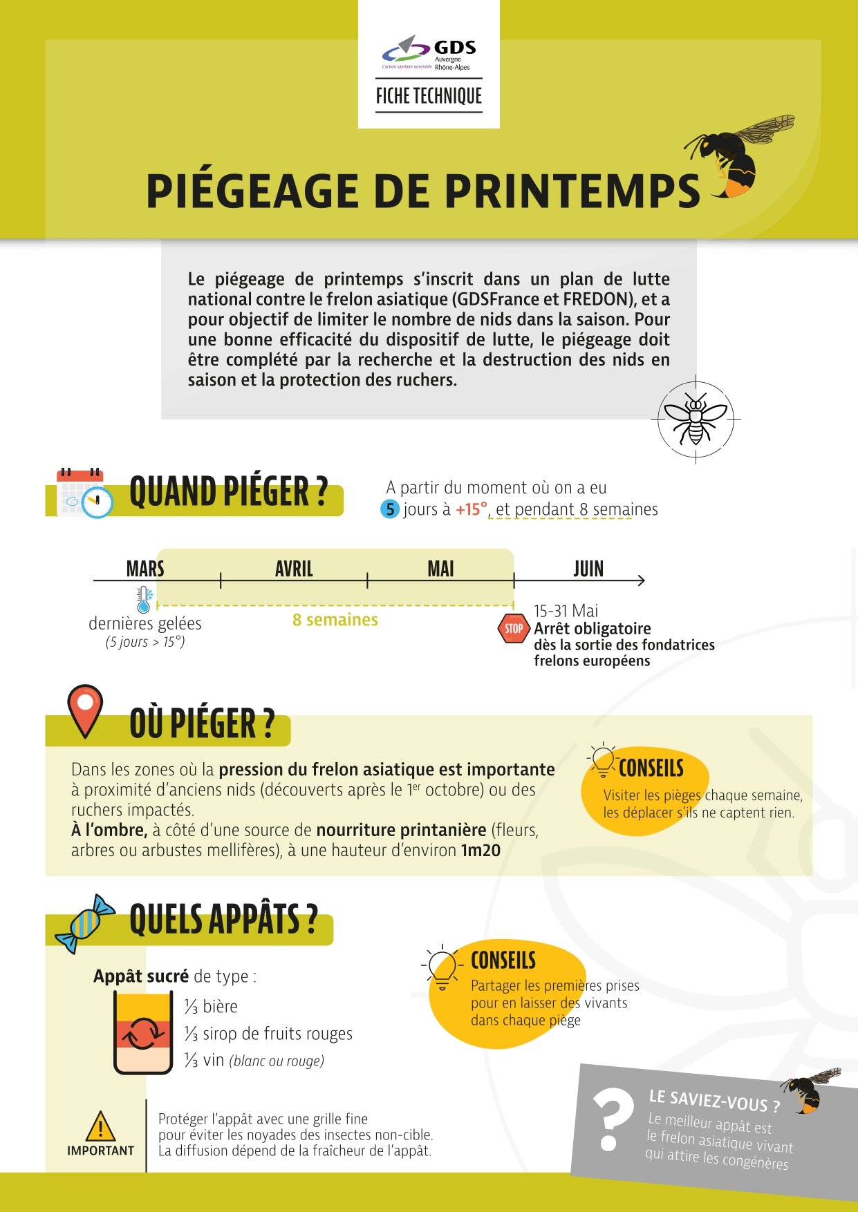Prévention-frelon-asiatique_communication-printemps-2025 _2_.jpg
