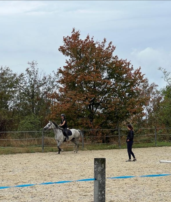ASSO MG_20231026_183537.jpg