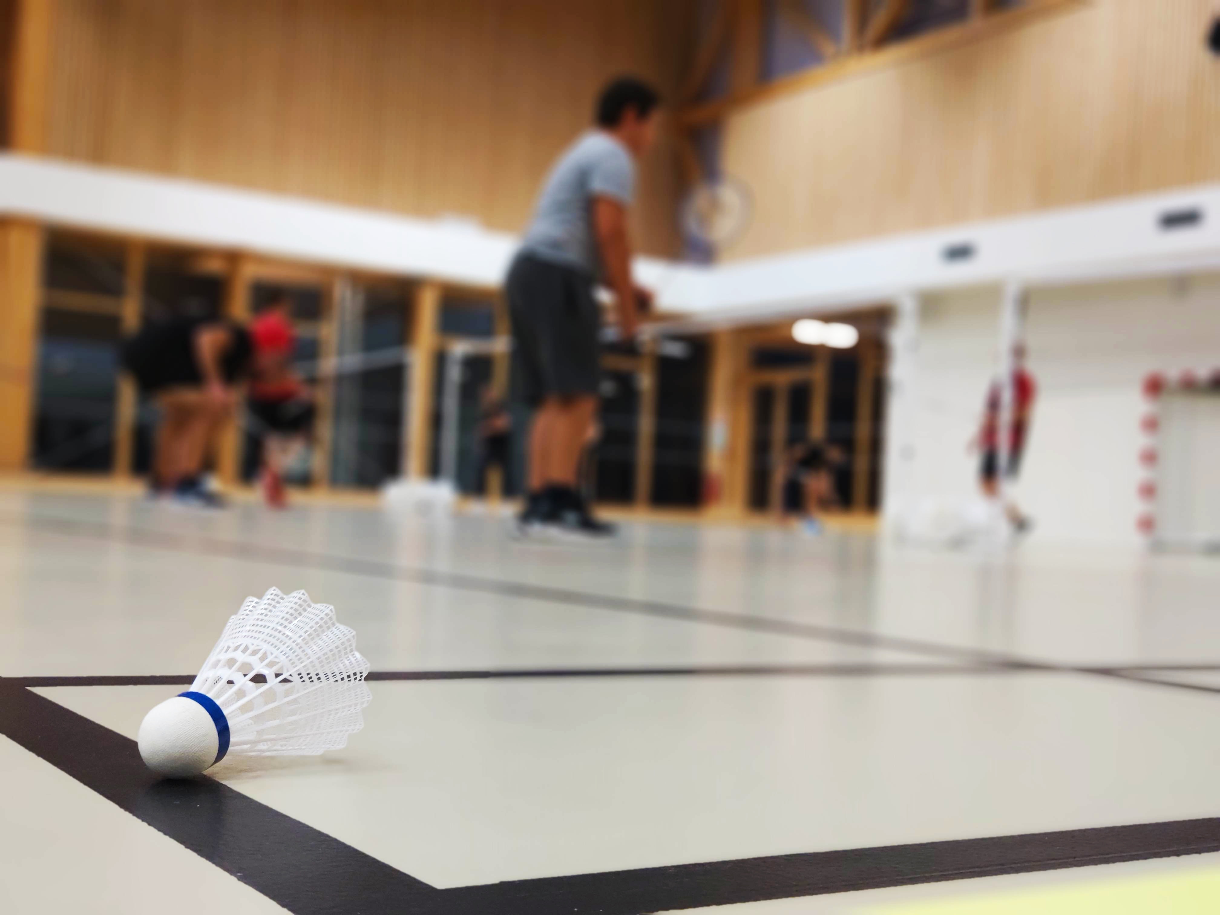 badminton©les_volants_creypieulans _1_.jpg