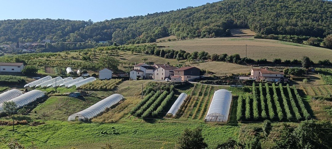 AGRICULTURE.jpg