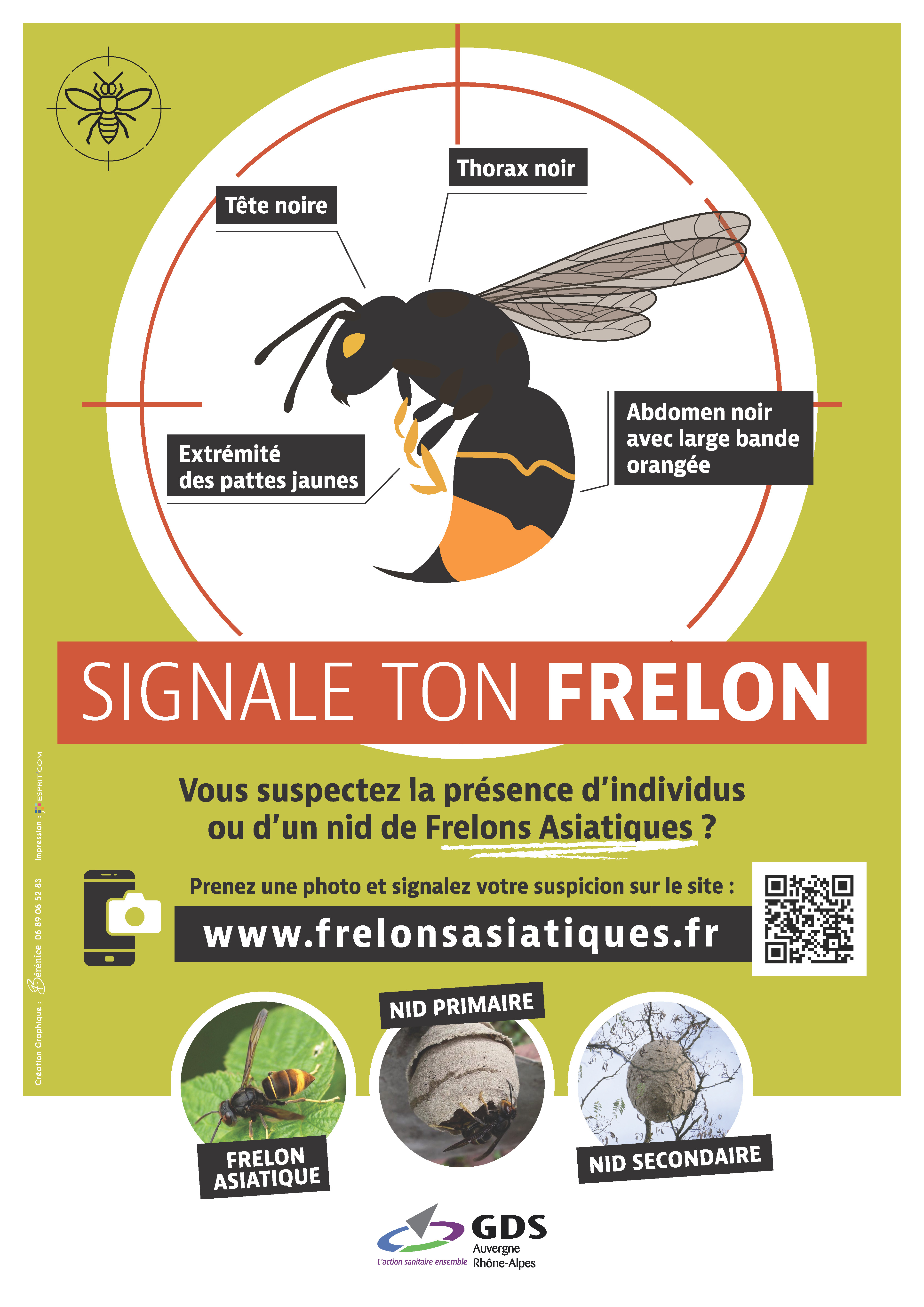 Affiche frelon asiatique.jpg