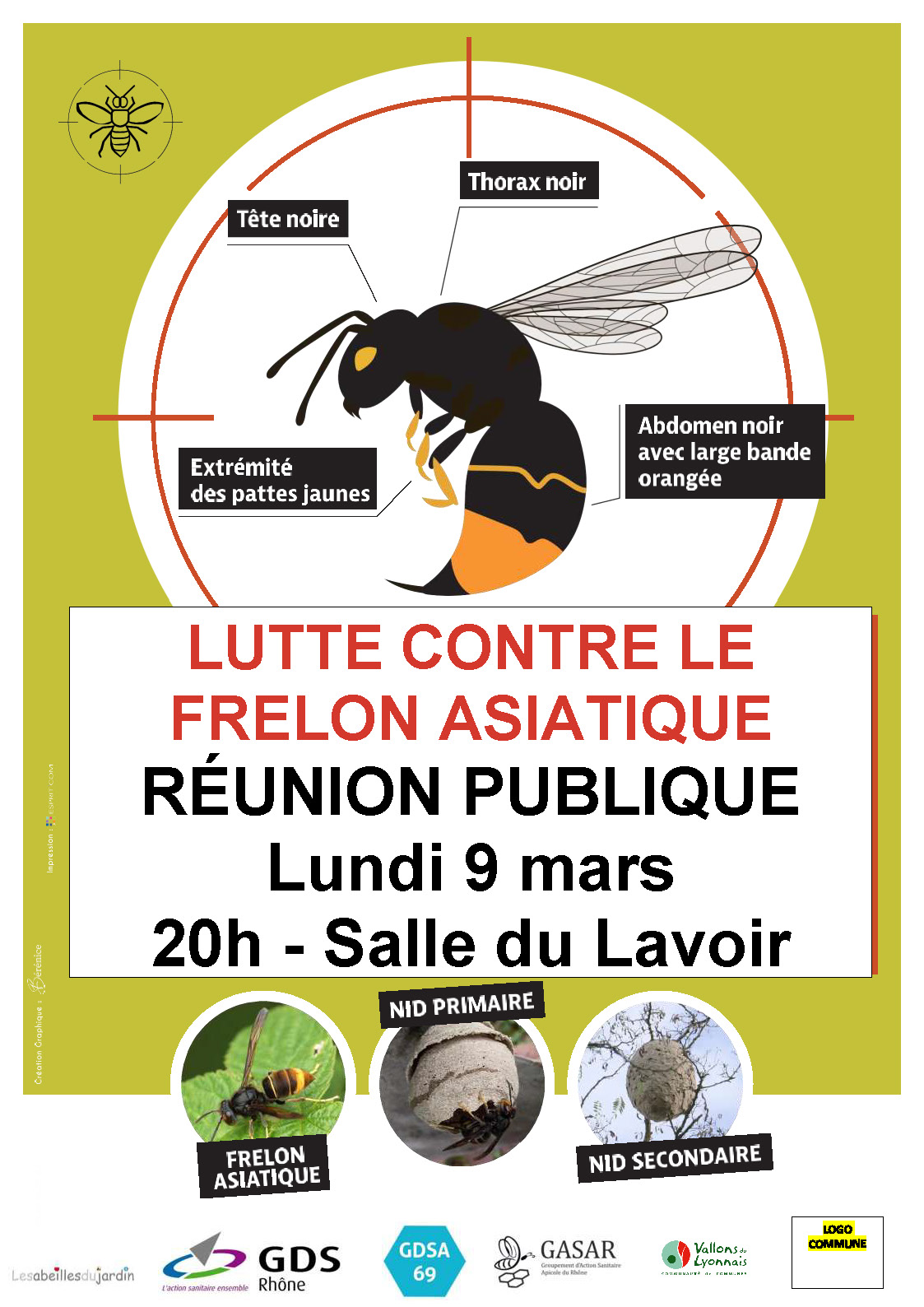 Frelon asiatique_.jpg