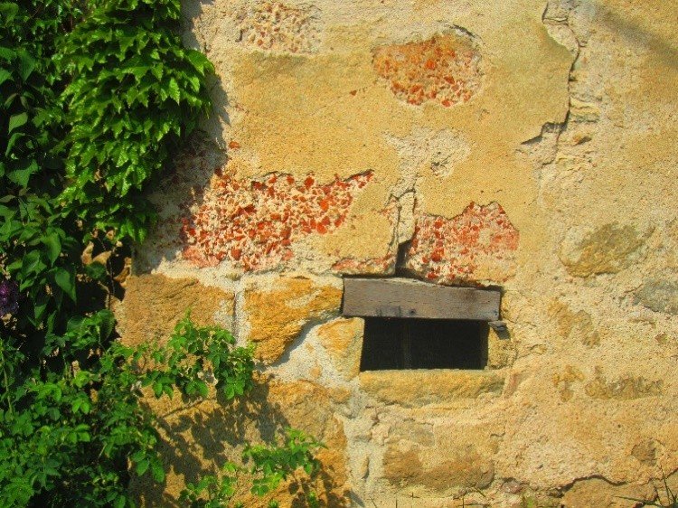 LE MARTIN-2.jpg