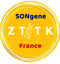 SONgene ZTTK.png