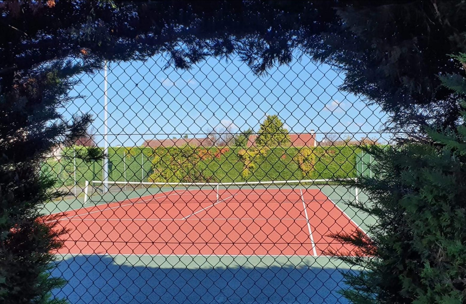 Tennis.jpg