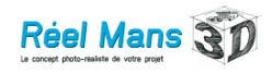 réel mans 3d.png