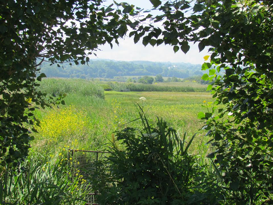 chemin_Caroline Ensergueix.jpg