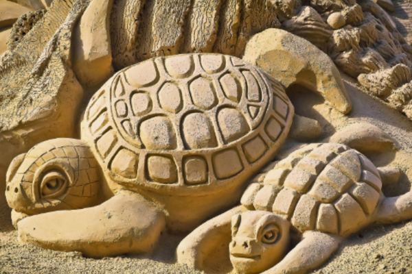 Concours de sable individuel ”Les animaux de la ferme” - 11/08 - 15h - 4/99 ans (11/08/2026)