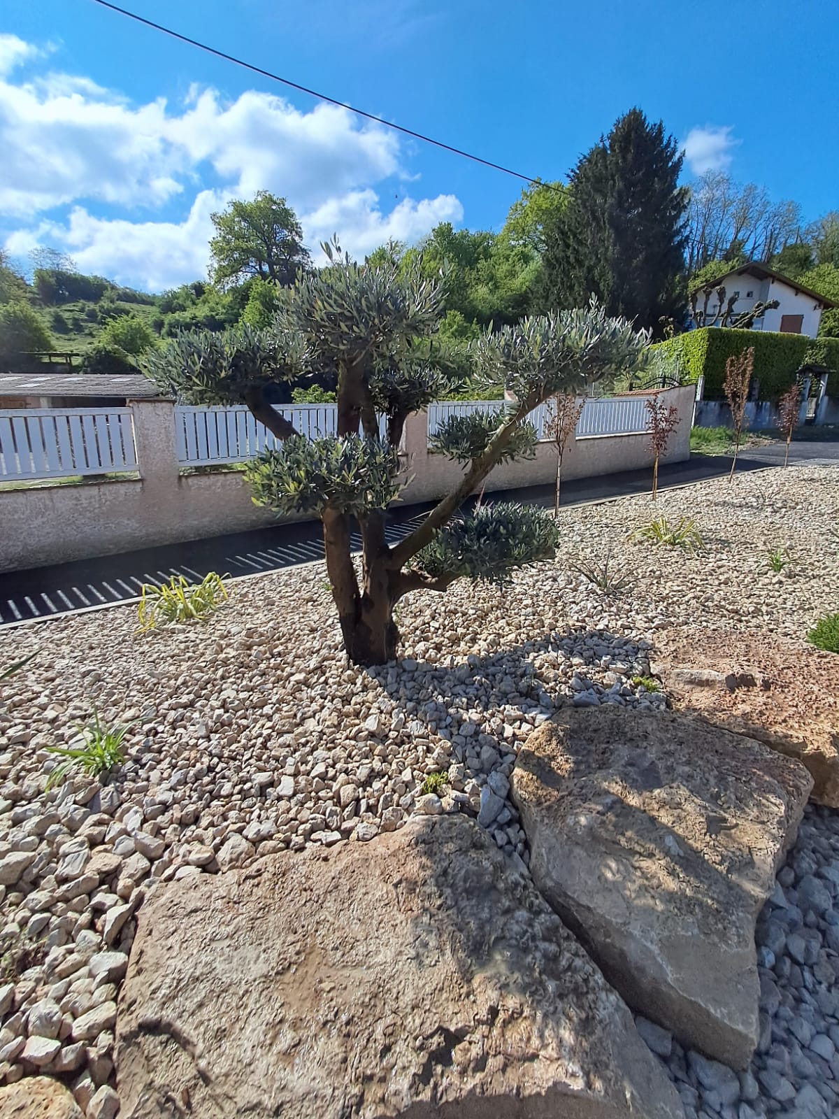 18 AVRIL SUITE ET FIN FLEURISSEMENT PAR LES SV TECHN2.jpg