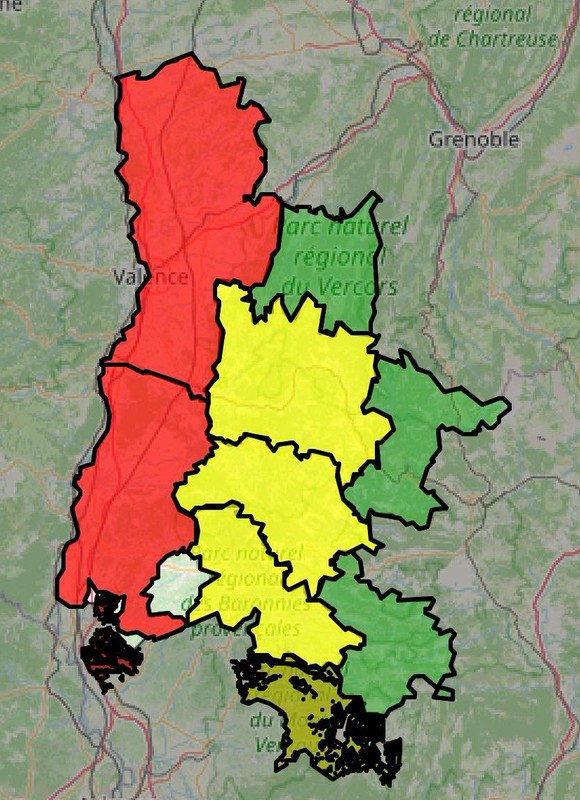 FEU DE FORET.jpg