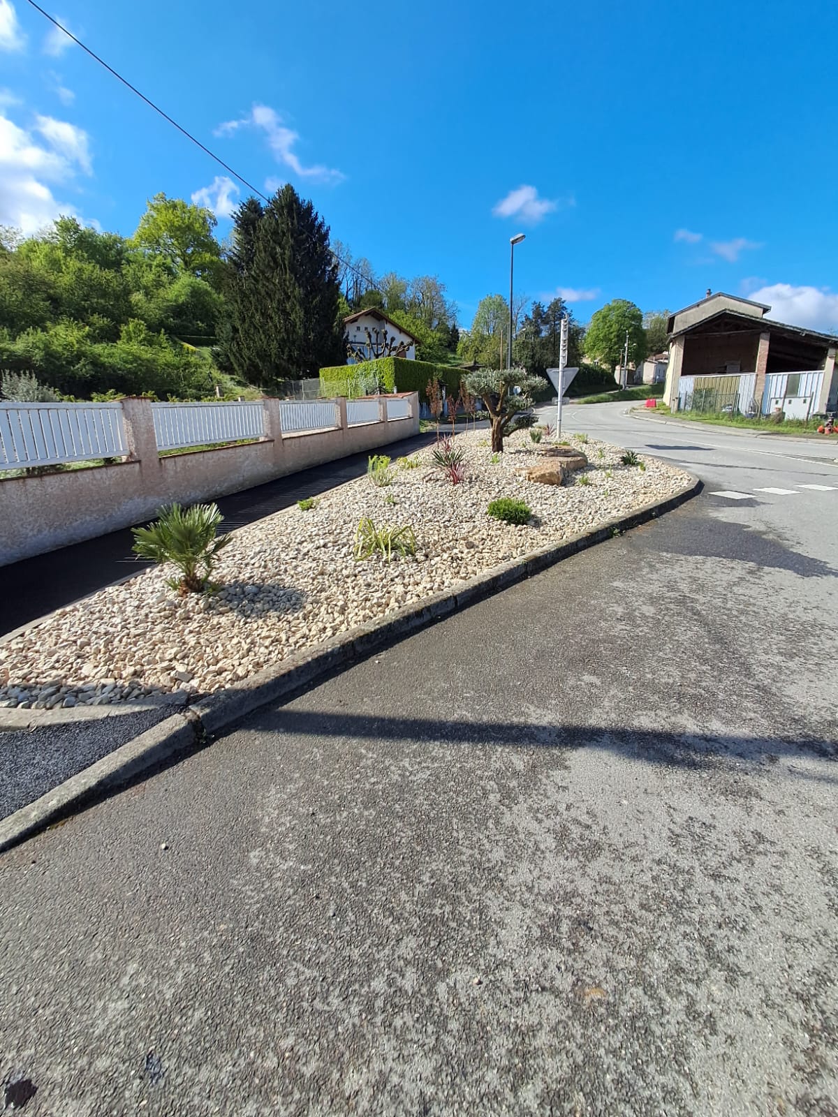 ROUTE D_ANNEYRON PLANTATIONS 14 AVRIL 25.jpg