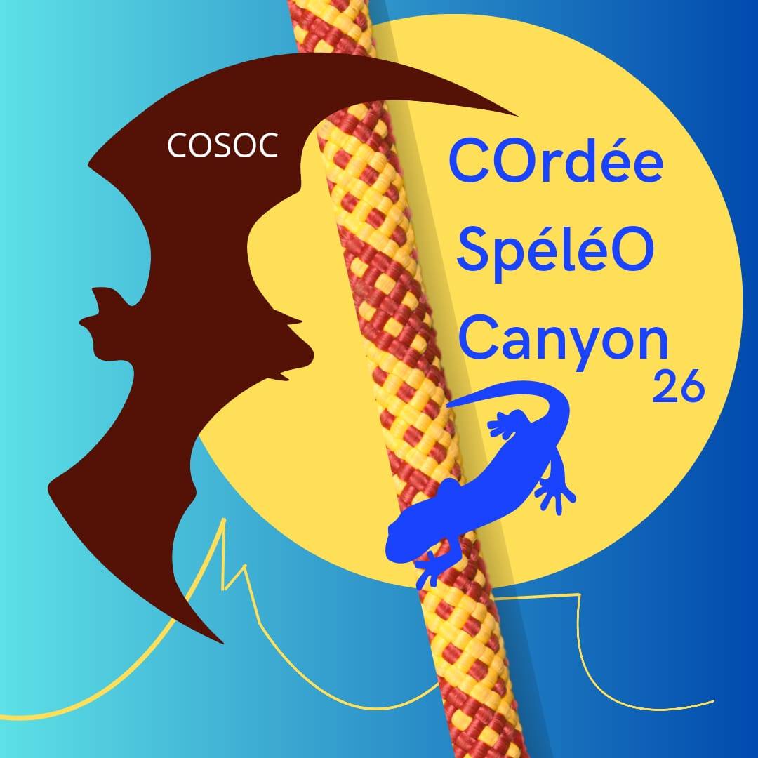 Logo COSOC.jpg