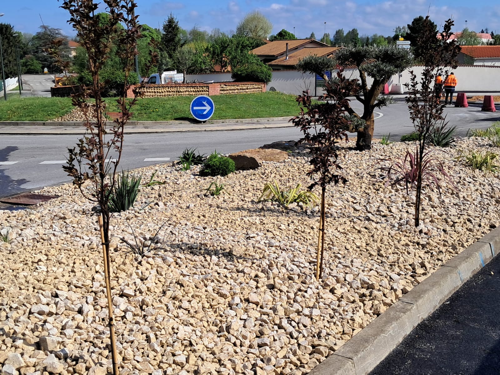 18 AVRIL SUITE ET FIN FLEURISSEMENT PAR LES SV TECHN3.jpg