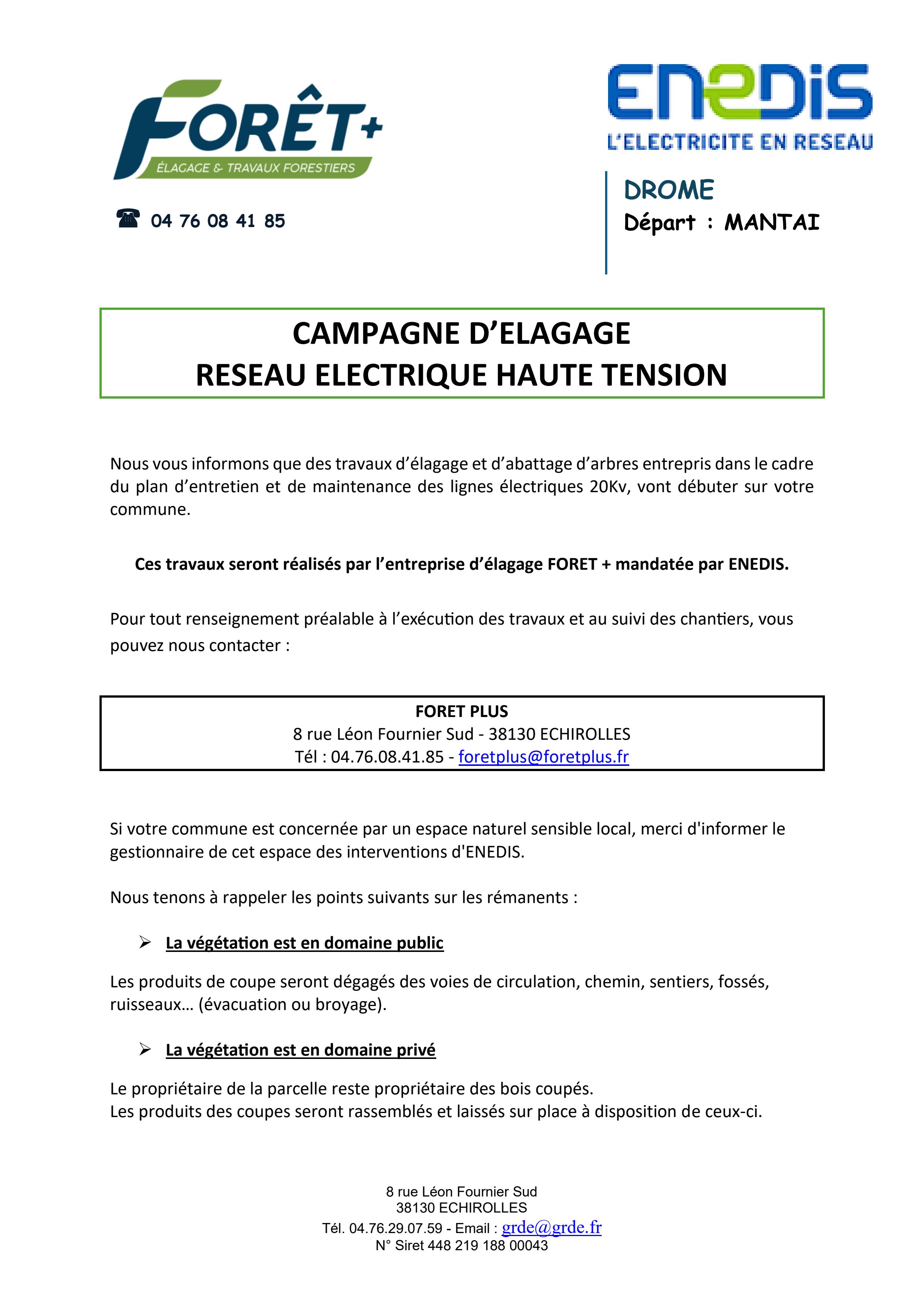 ELAGAGE ENEDIS FORET PLUS.jpg