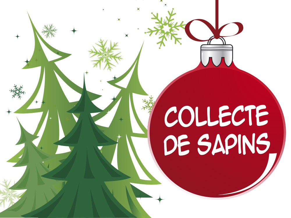 collecte-sapins.png