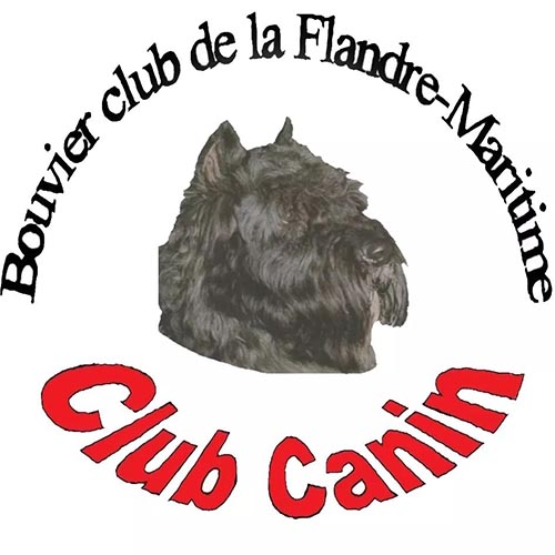 Logo-BCFM.jpg