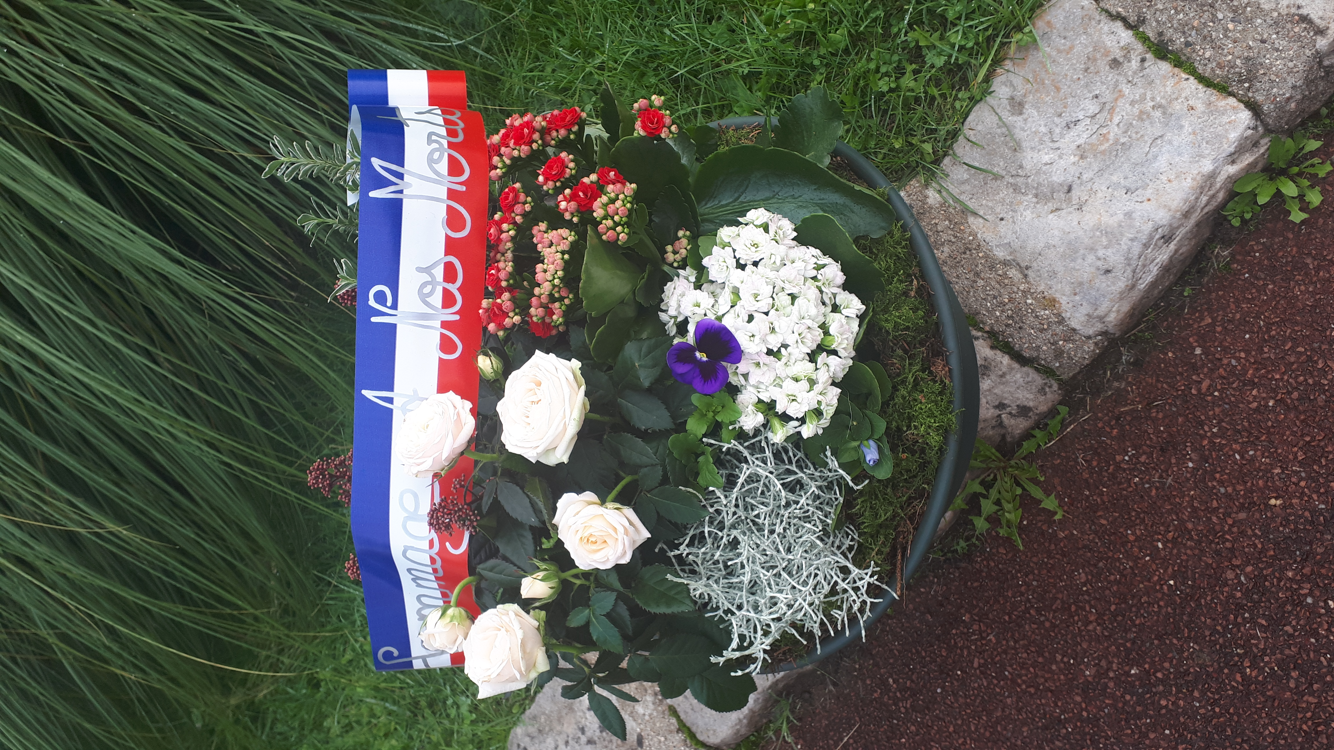 20201111_101835.jpg