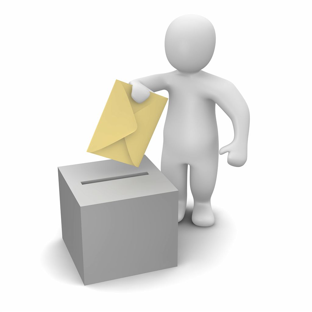 Bonhomme-vote.jpg