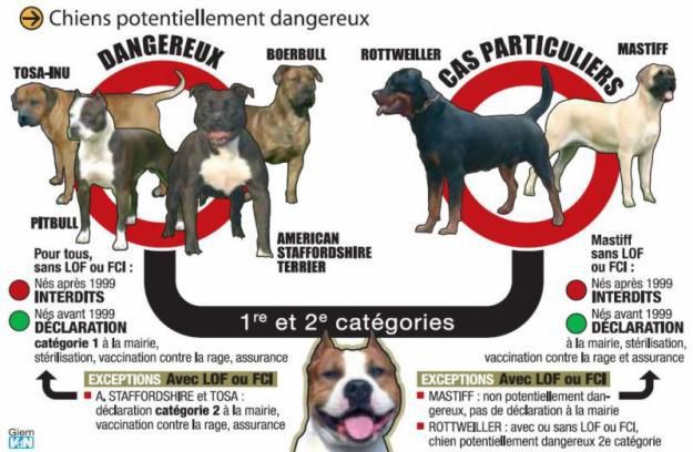 CHIENS affiche-chien-dangereux.jpg