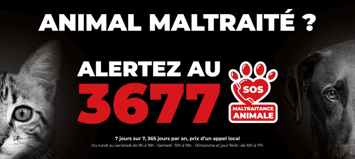 Ensemble créons SOS Maltraitance Animale !.png