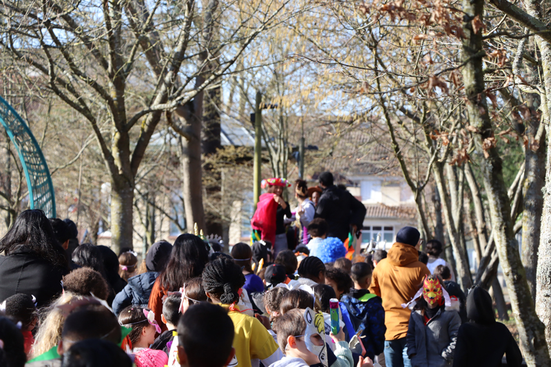 Carnaval Maurice LAHAYE 2026  _60_.jpg