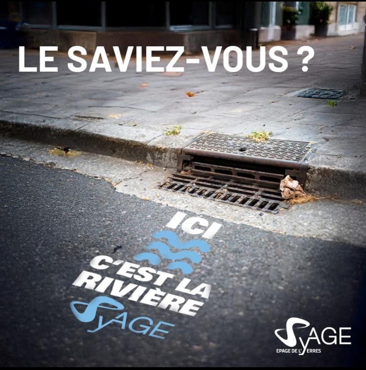 Ici c_est la rivière.jpeg
