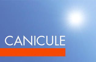 CANICULE.jpg