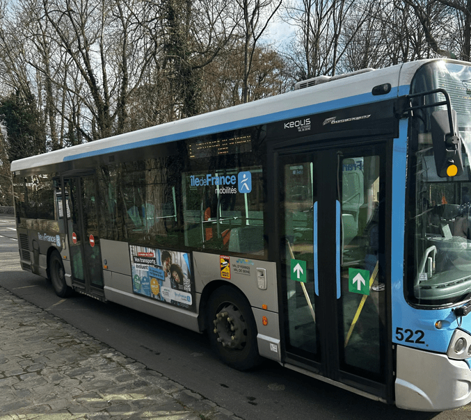 capturebuskeolismin.png