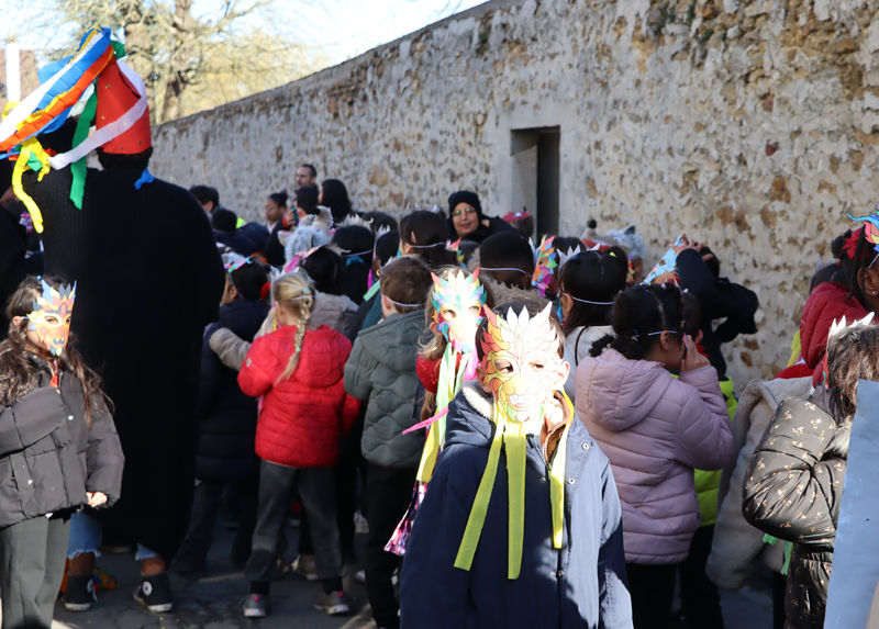 Carnaval Maurice LAHAYE 2026  _36_.jpg