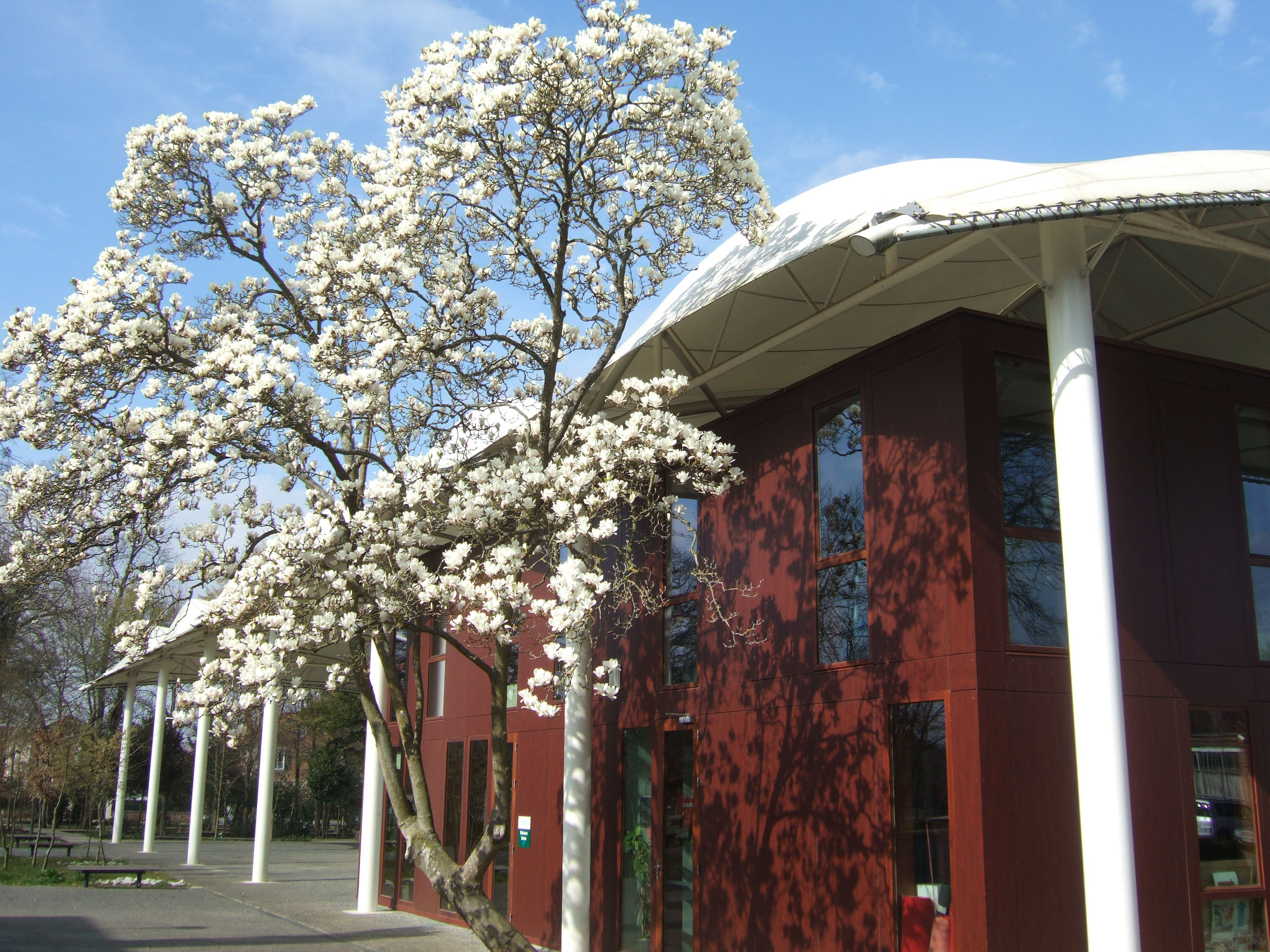 photo maison verte magnolia.jpg