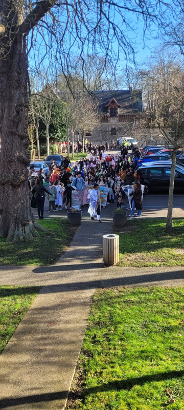 Carnaval Maurice LAHAYE 2026  _71_.jpg