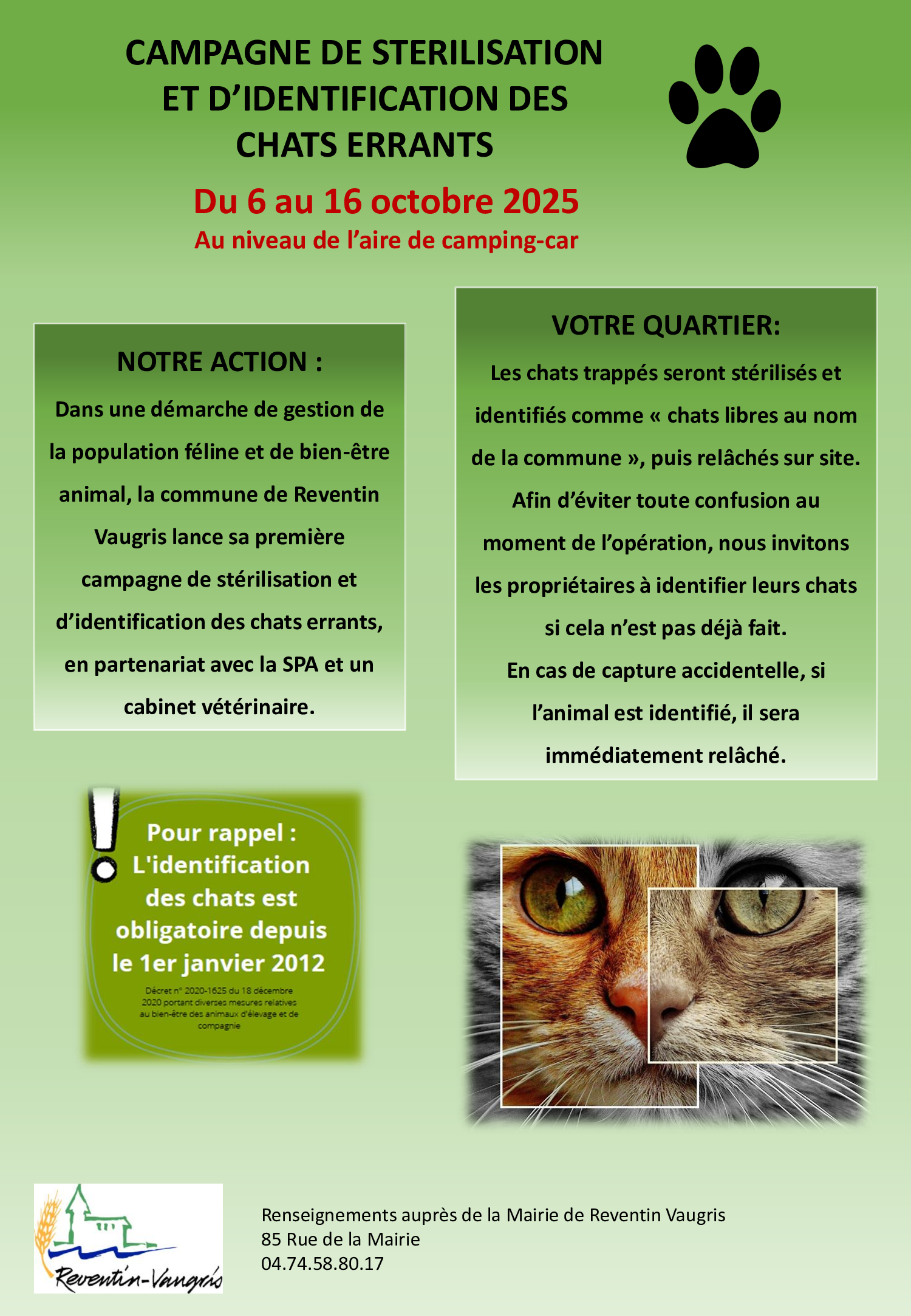 Stérilisation chats.png
