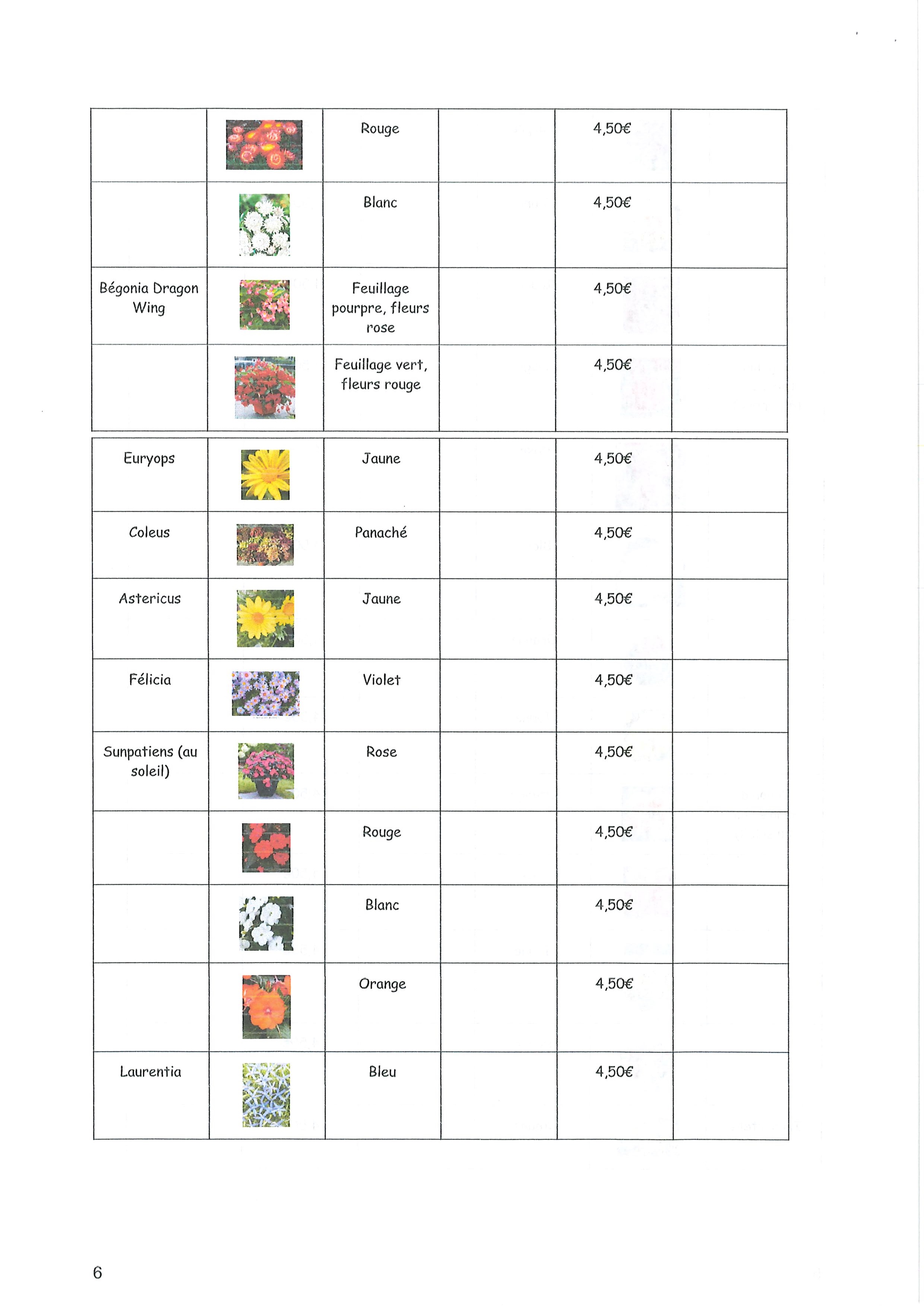 Vente Fleurs APE_0008.jpg