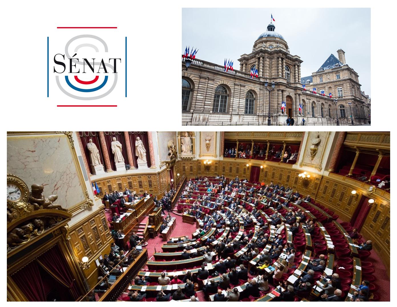 senat.jpg