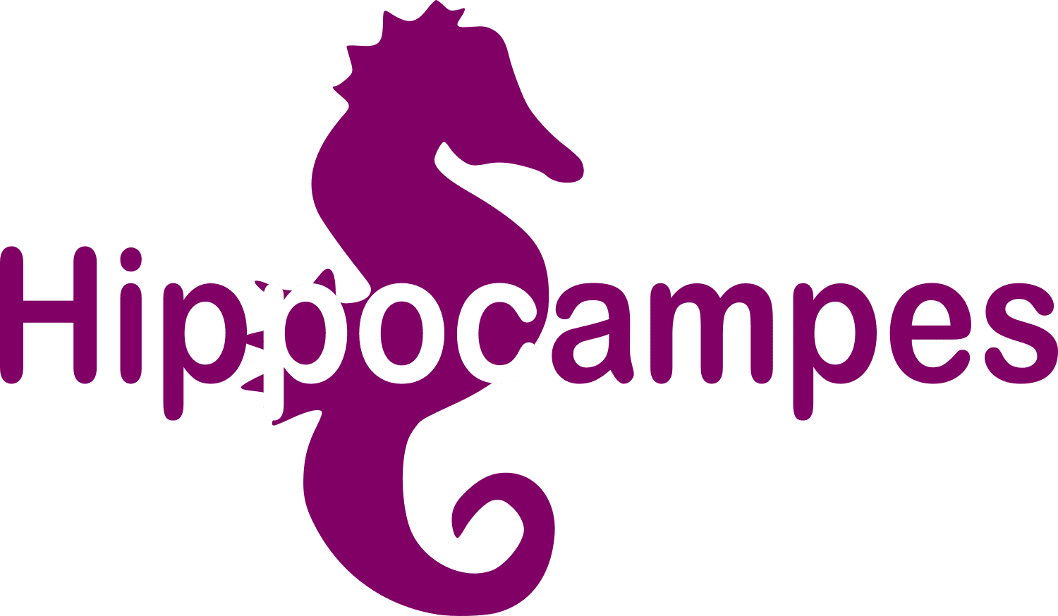 Hippocampes.png