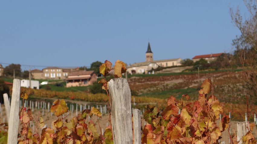 Image_pruzilly_automne_vue_desburnays.JPG