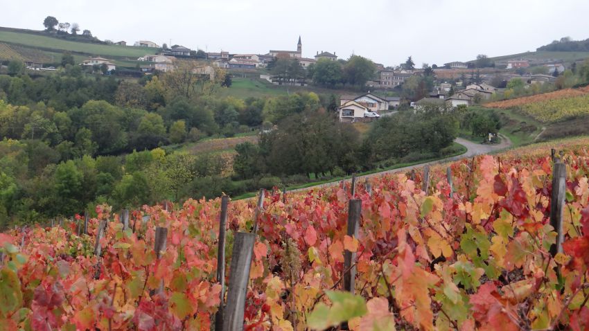 Image_pruzilly_automne_vue_route_macon.JPG
