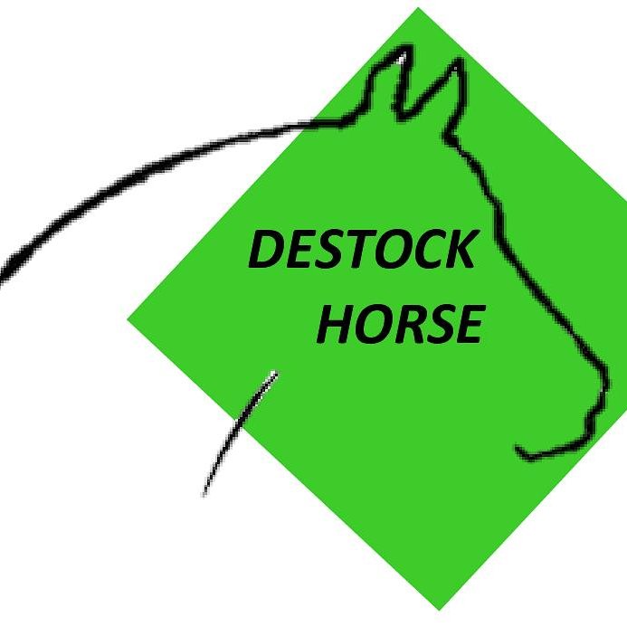 DESTOCK HORSE.jpg