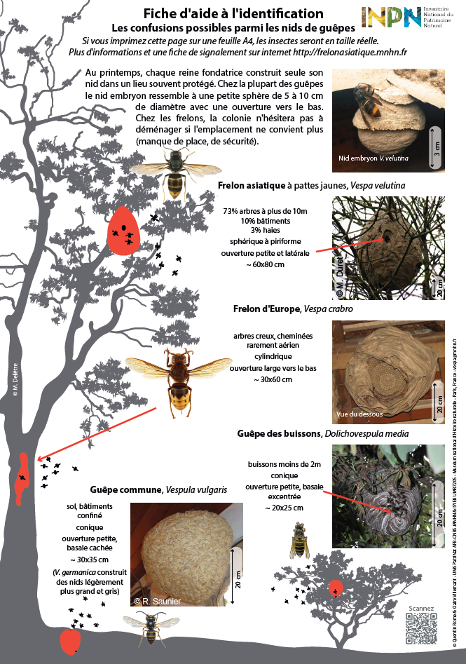 FICHE D AIDE 0 L IDENTIFICATION DES NIDS  .png