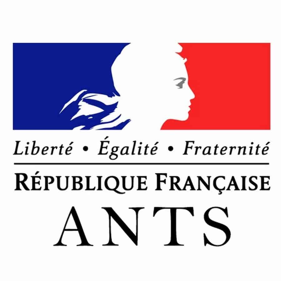 ants.jpeg