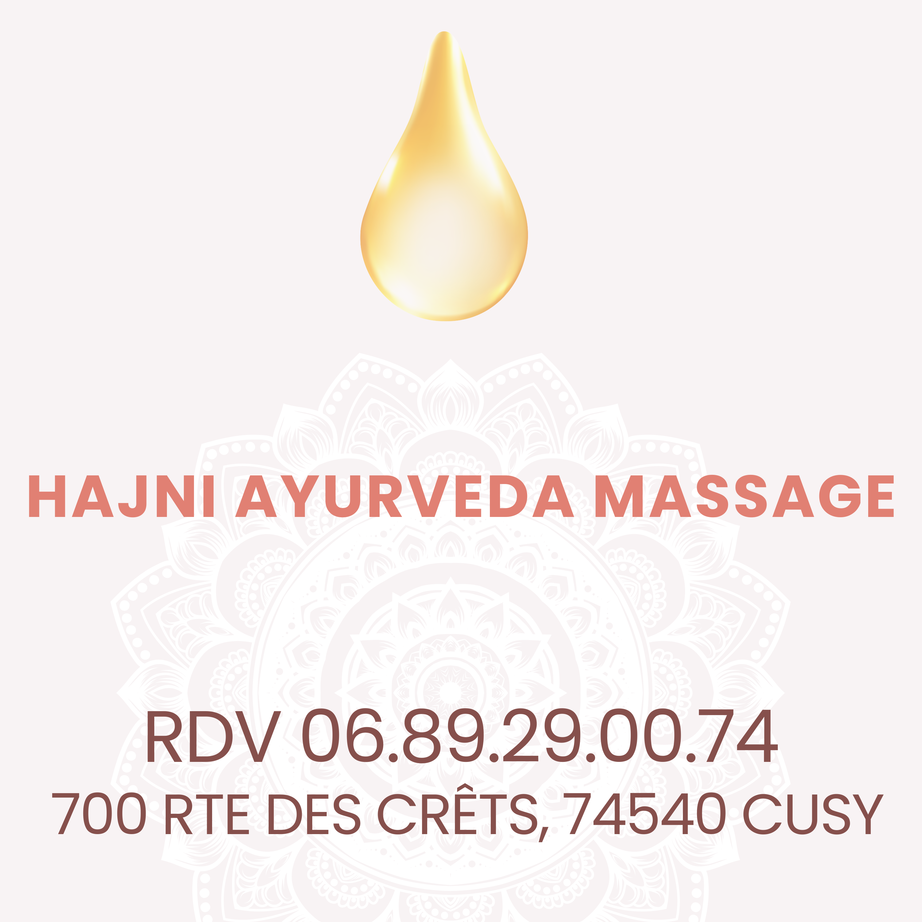 LOGO Hajni AYURVEDA Massage Cusy.png