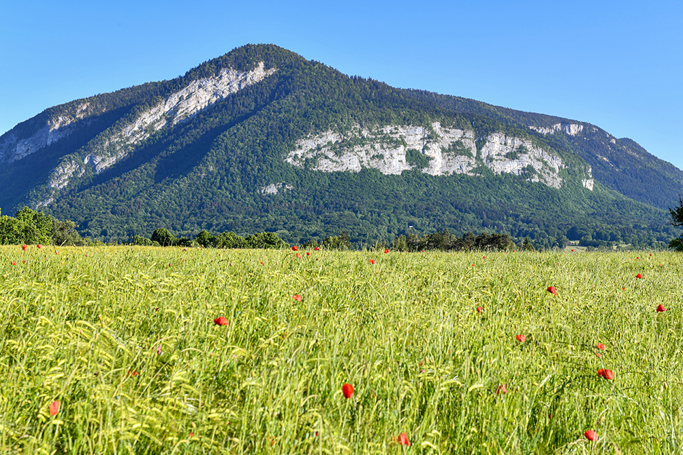Commune de Cusy Commune de Cusy en HauteSavoie