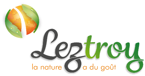 logo-leztroy-2018.png