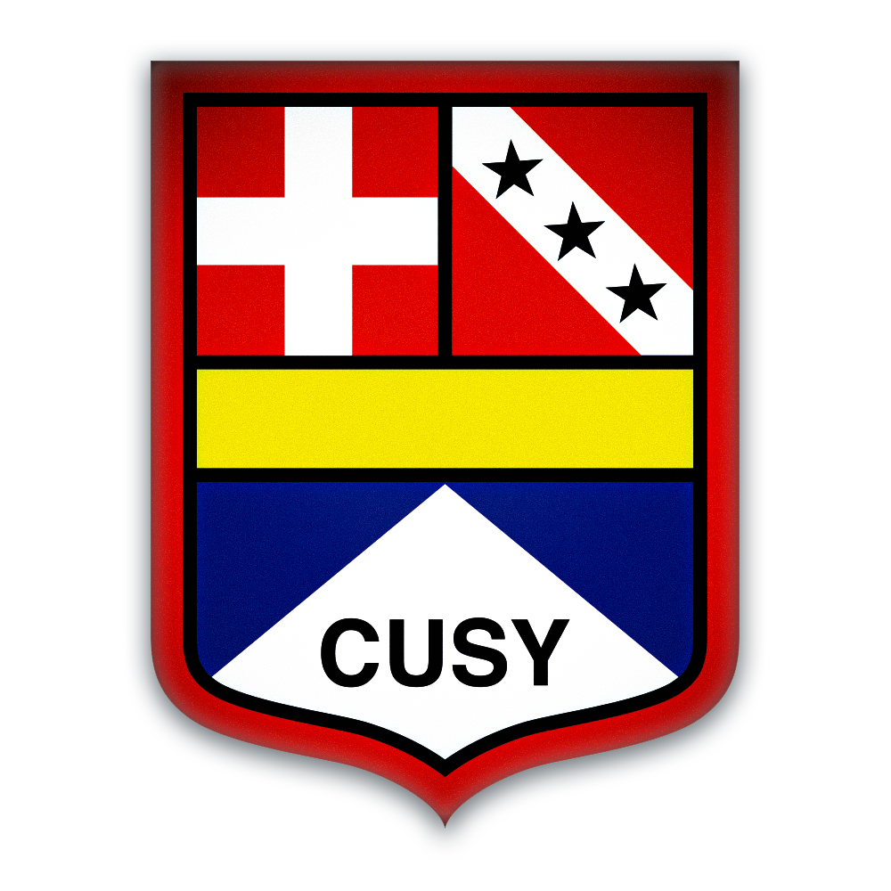 logo Cusy impression amélioré.png