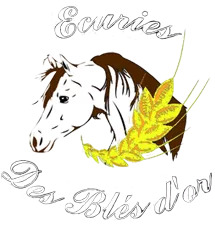 logo centre équestre écuries des blés d_or.jpg